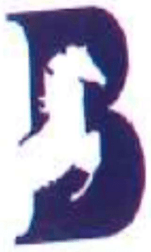 Blue Fin Engineering Enterprises Logo